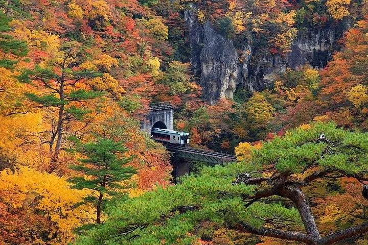 A train coming out of a tunnel above Naruko Gorge with the valley in full autumn colour