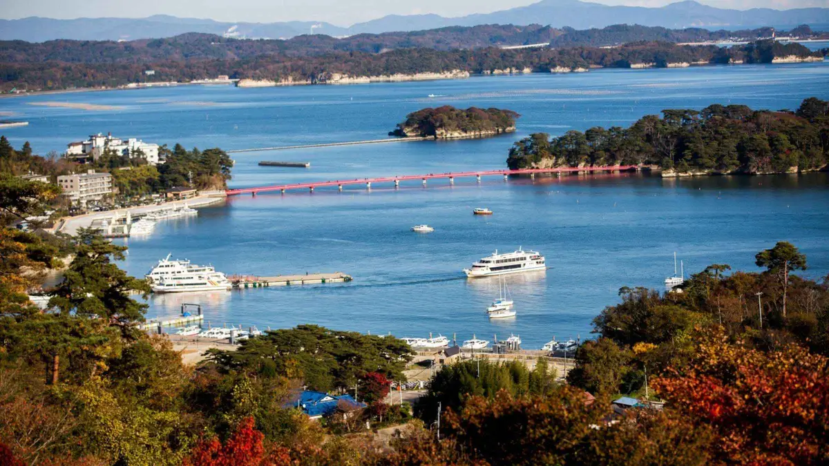 Pine-covered islands scattered across Matsushima Bay seen from a hill, with cruise boats moored by the town