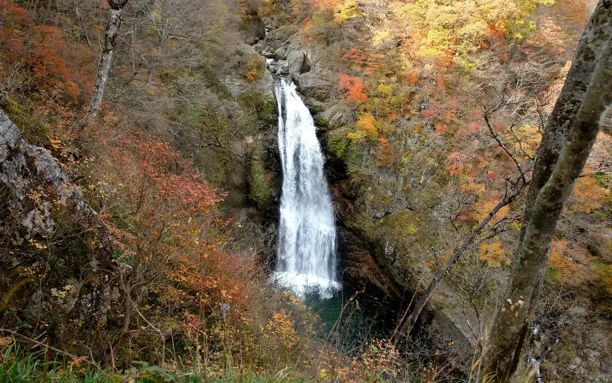 Akiu Great Falls dropping through a gorge of red and yellow autumn leaves near Akiu Onsen