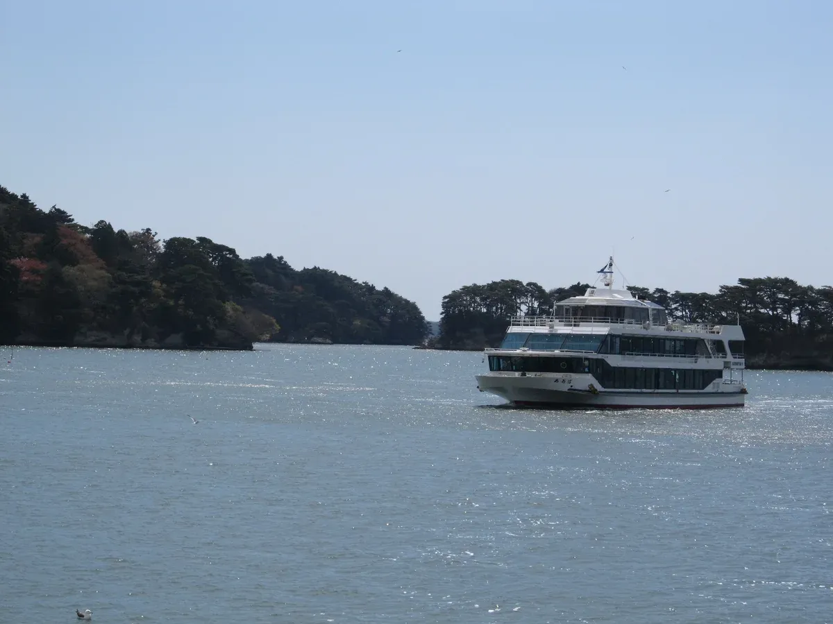 White sightseeing cruiser crossing the bay between pine-covered islets