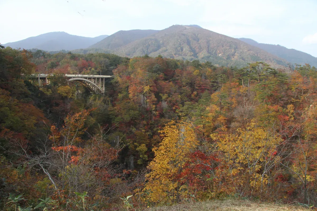 Autumn forest in a valley with a bridge and mountain behind
