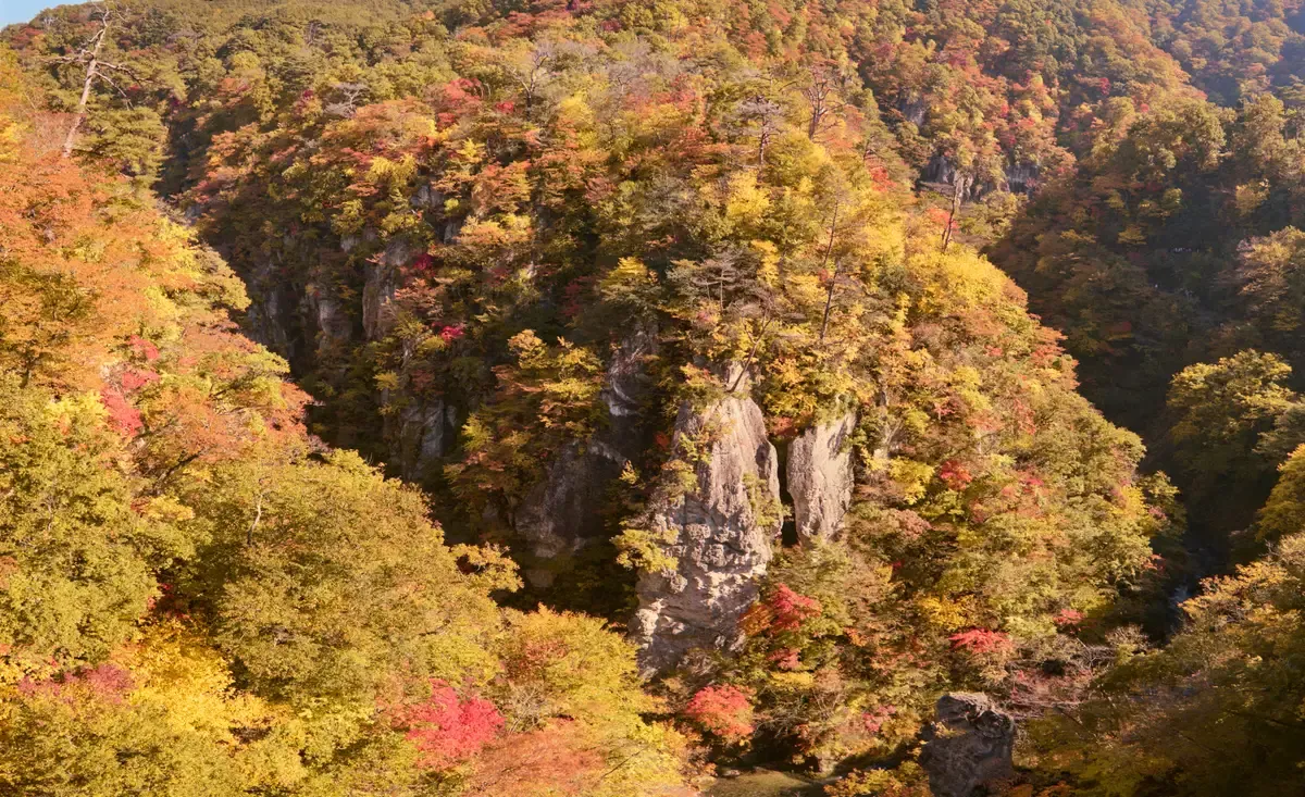 Steep gorge walls in red and yellow foliage