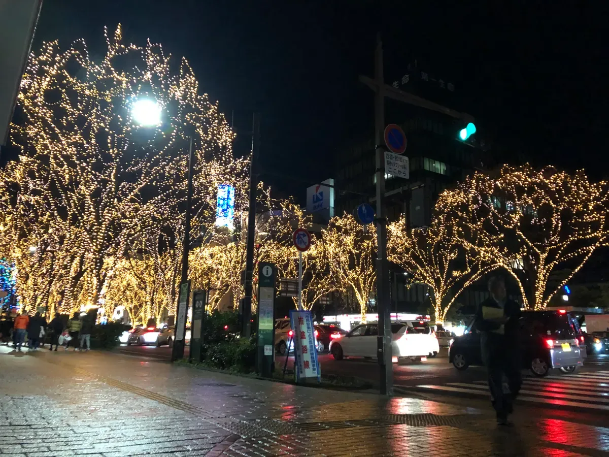 Trees wrapped in thousands of warm white lights along a Sendai street at night during the Pageant of Starlight