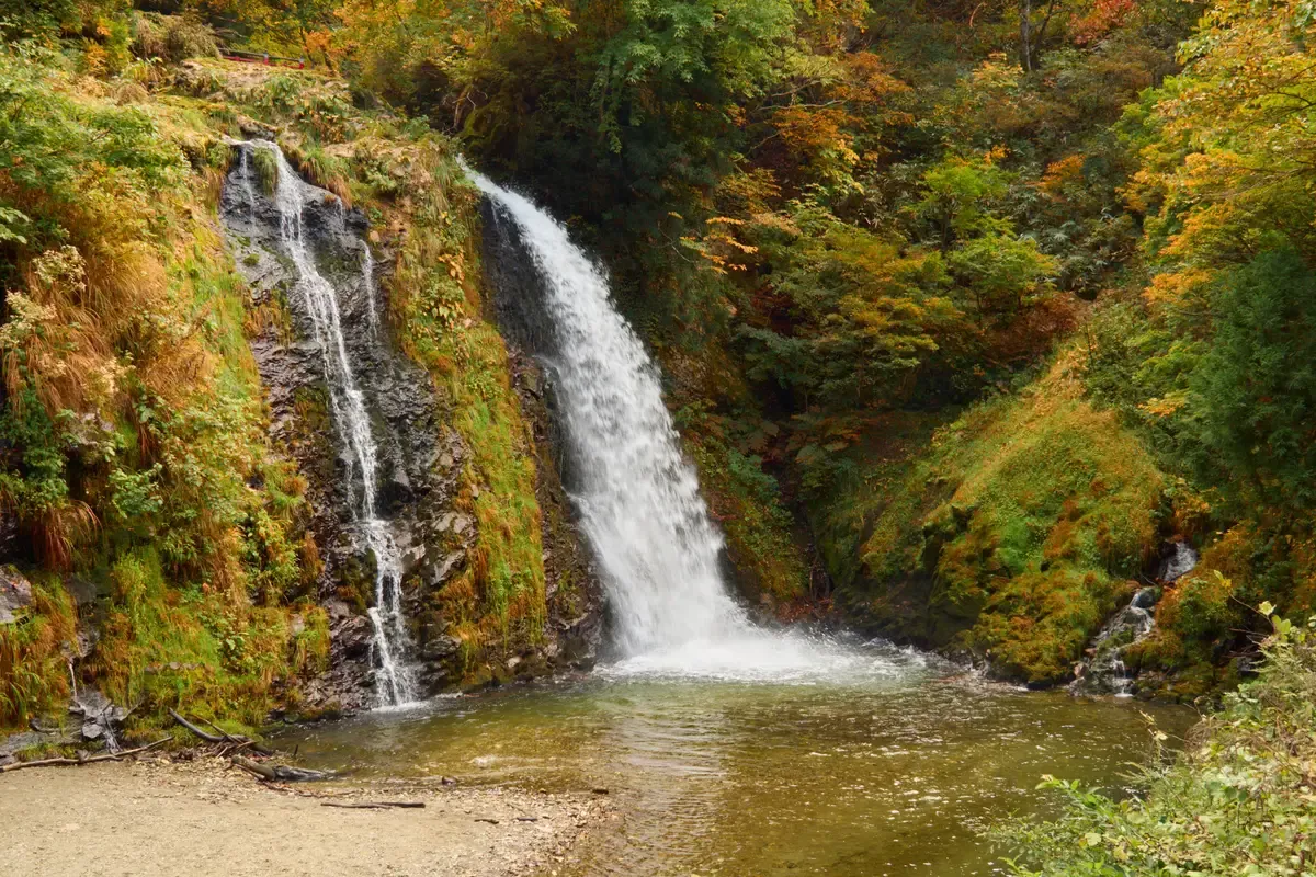 Two ribbons of Shirogane waterfall dropping into a pool among autumn foliage