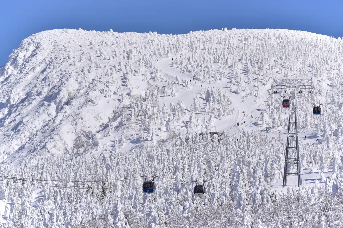 Gondolas climbing past a slope covered in rime-ice trees at Zao
