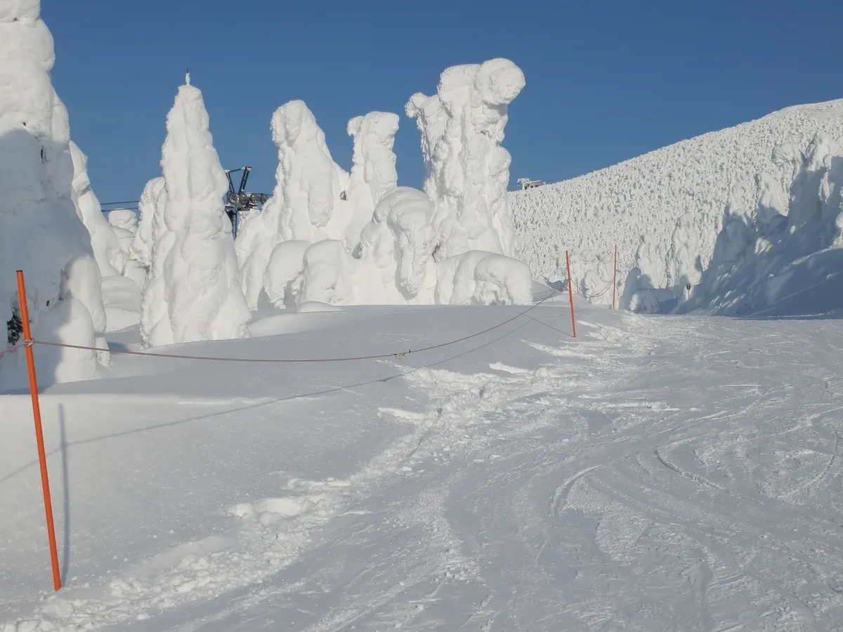 Snow-covered ski slope at Zao with frozen snow monsters and a chairlift under a blue sky