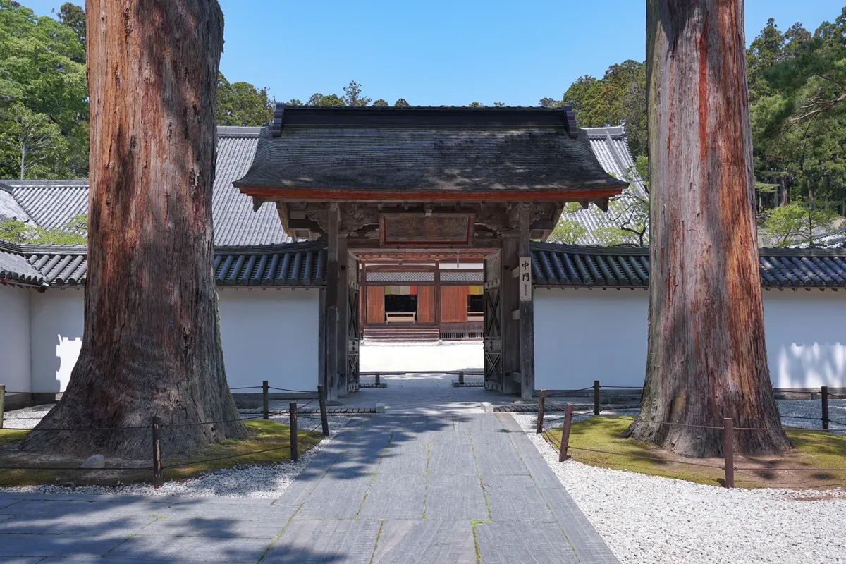 Two giant cedars flanking a stone path that leads to the wooden Chumon gate